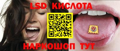 PSILOCYBIN Будённовск