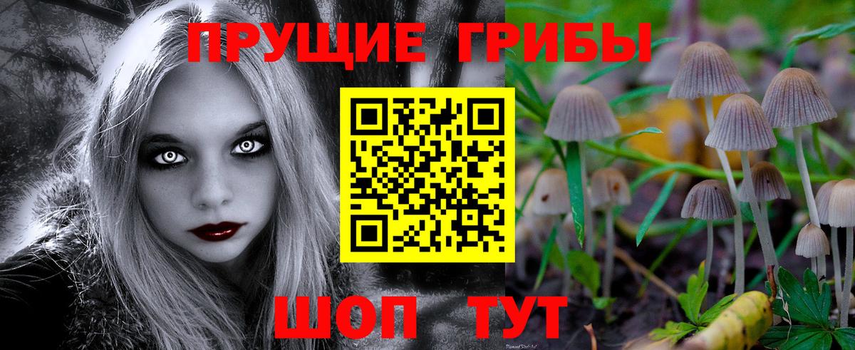 Псилоцибиновые грибы Cubensis  Вход с VPN  Лесной  Псилоцибиновые грибы ЛСД 