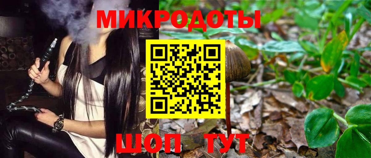 Галлюциногенные грибы Psilocybine cubensis Лесной